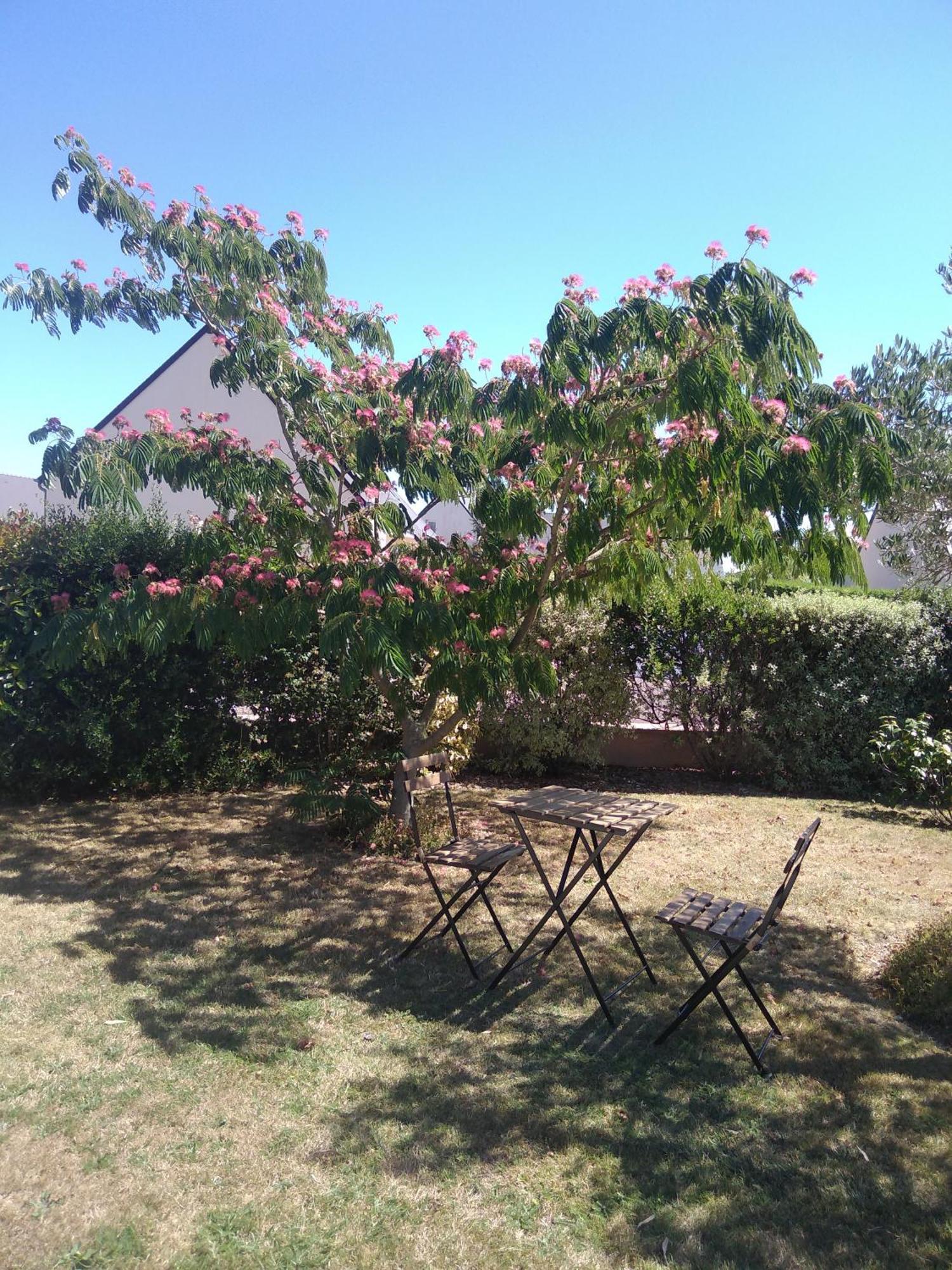 Chambre Agreable Au Calme Saint-Hilaire-Petitville Exterior foto